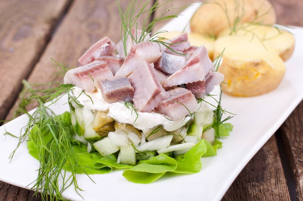 طريقة عمل سلطة الرنجة بالخيار و الشبت‎‎