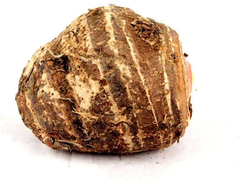 طريقة سهلة لتنظيف القلقاس‎‎